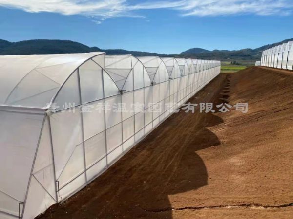 江西鋸齒連棟薄膜溫室